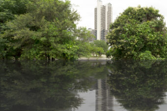 waterfront symmetry 01