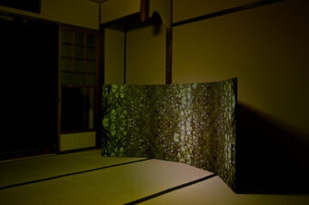 exhibition photos “Icho-an”