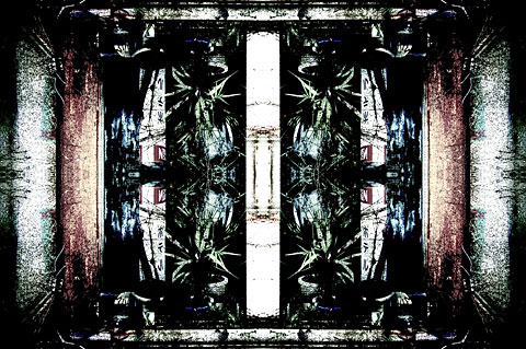 symmetry1